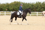 SBM_000951
