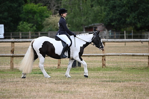 WJ6_3736