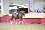 SBM_08633
