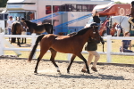 SBM_14050