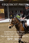 BPP_9059
