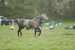 SPXX4169
