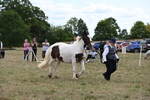 WJ6_5570