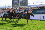 220826-Race 6-Sale Shark-1567
