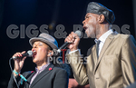 THE SELECTER portfolio