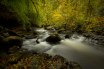 Autumn colours, Aberfeldy