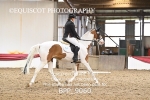 BPP_9060