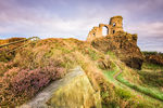 Heather on Mow Cop, Cheshire (2)