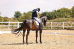 SBM_007379