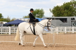 SBM_15872