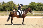 SBM_003934