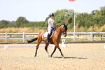 SBM_012363