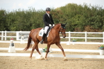 SBM_003355