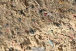 231013A-111604-01442