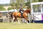 SBM_15060