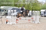 BPP_3338