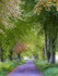 7th May Summer Lane