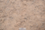 241006A-124541-07285