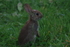 An Interested Onlooker