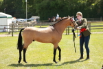 SBM_05592
