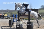 BPP_7585