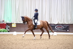 SBM_008128_Class 15 - FEI Junior-Pony Team-YR Team-COH Team-