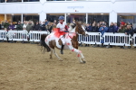 SBM_003874