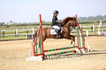 SBM_000260