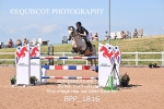 BPP_1816