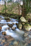 16. WATER FALL, GLEN NEVIS, SCOTLAND