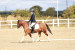 SBM_009917