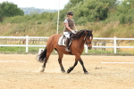 SBM_000513