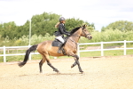 SBM_006470