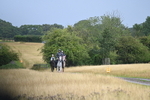 WJ6_1647