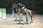 1 British Novice 90cm Open portfolio