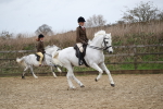 SBM_006354