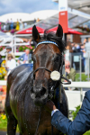 290723-Race 3-Alflaila-0623
