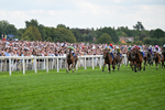 220826-Race 4-Daiquiri Bay-0399