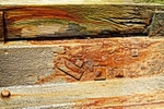 DSC06417