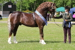 SIAL6164