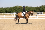 SBM_004394