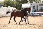 SBM_07046
