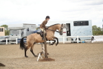 SBM_16664
