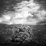 The Rock
