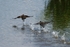 20110702-IMG_6196
