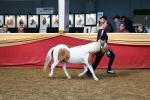 SBM_18450