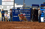 Jubilee Days Junior Bull Riding portfolio