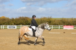 SBM_001031