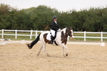 SBM_00444
