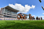 Race 6 4.50pm Al Basti Equiworld Dubai Sprint Handicap portfolio